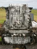 image of grave number 892400